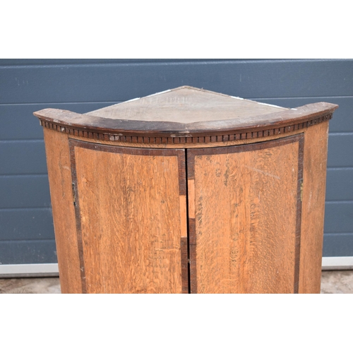 315C - A 19th century oak domed corner cupboard with 3 shelves. 87cm tall. In good functional condition wit... 