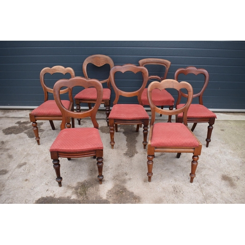 315G - A collection of 8 matched balloon-back mahogany dining chairs with upholstered seats (8). 88cm tall.... 