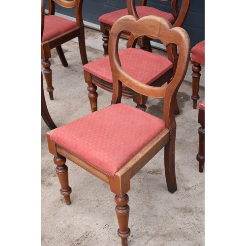 315G - A collection of 8 matched balloon-back mahogany dining chairs with upholstered seats (8). 88cm tall.... 