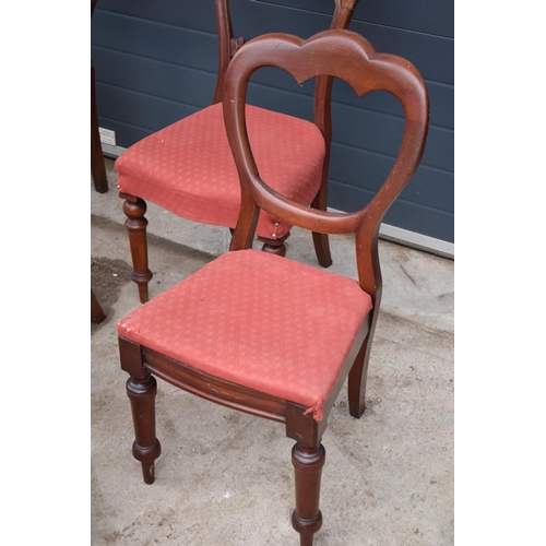 315G - A collection of 8 matched balloon-back mahogany dining chairs with upholstered seats (8). 88cm tall.... 