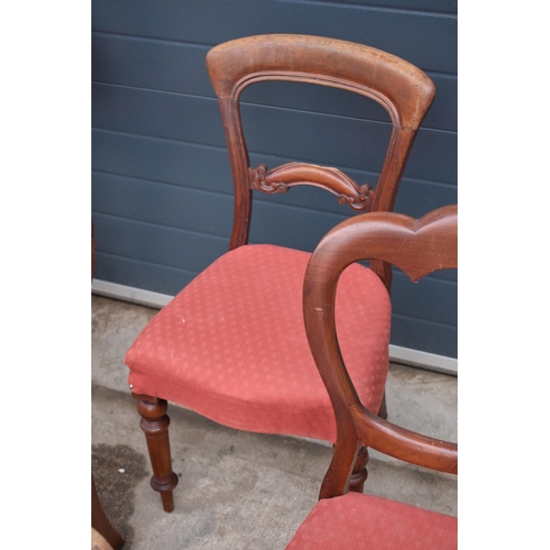 315G - A collection of 8 matched balloon-back mahogany dining chairs with upholstered seats (8). 88cm tall.... 