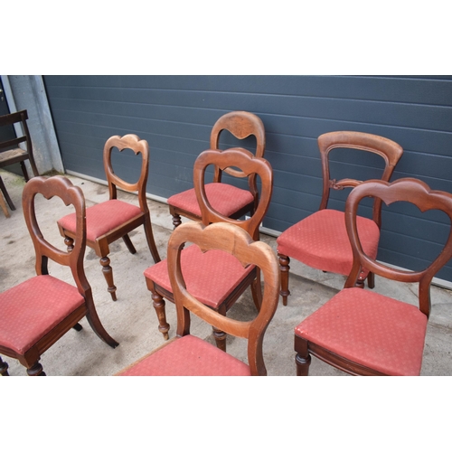 315G - A collection of 8 matched balloon-back mahogany dining chairs with upholstered seats (8). 88cm tall.... 