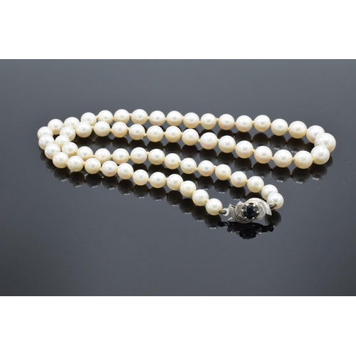 424 - A single-string pearl necklace with a fully hallmarked 9ct white gold clasp set with a sapphire ston... 