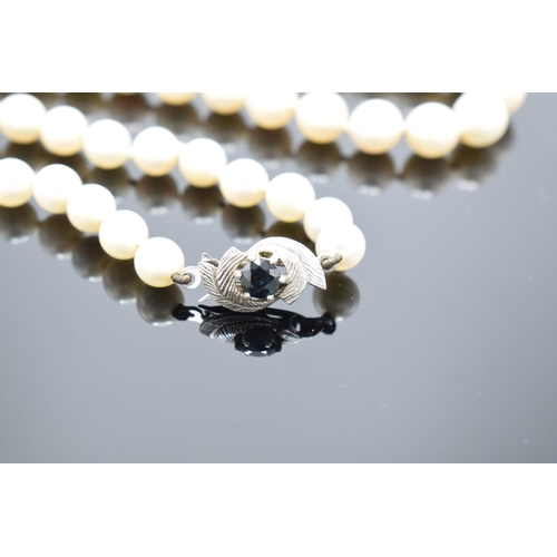 424 - A single-string pearl necklace with a fully hallmarked 9ct white gold clasp set with a sapphire ston... 