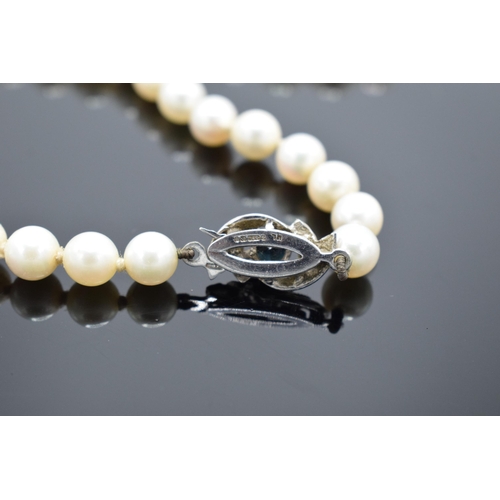 424 - A single-string pearl necklace with a fully hallmarked 9ct white gold clasp set with a sapphire ston... 