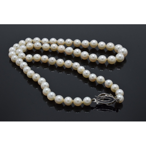 424 - A single-string pearl necklace with a fully hallmarked 9ct white gold clasp set with a sapphire ston... 