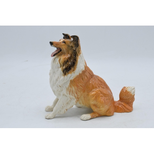 128 - Beswick gloss colourway seated rough haired collie 3080. In good condition with no obvious damage or... 