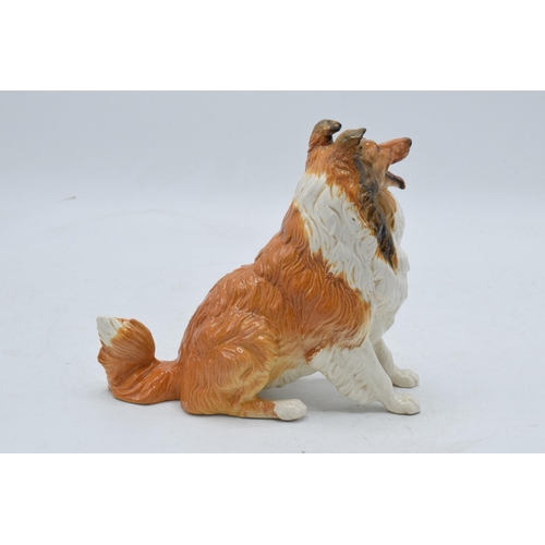128 - Beswick gloss colourway seated rough haired collie 3080. In good condition with no obvious damage or... 