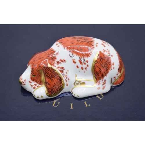 100L - Boxed Royal Crown Derby paperweight in the form of a Puppy. First quality with stopper. In good cond... 