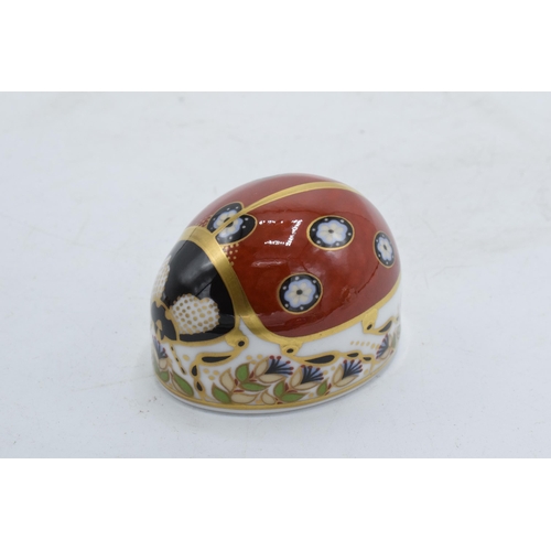 100Q - Boxed Royal Crown Derby paperweight in the form of a Ladybird with Seven Spots. First quality with s... 