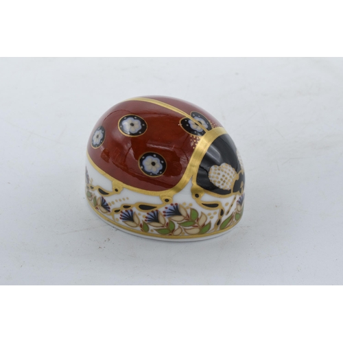 100Q - Boxed Royal Crown Derby paperweight in the form of a Ladybird with Seven Spots. First quality with s... 