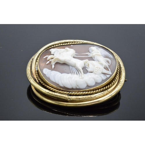 221I - Victorian gilt-framed shell cameo depicting a horse-drawn chariot. 6cm wide.