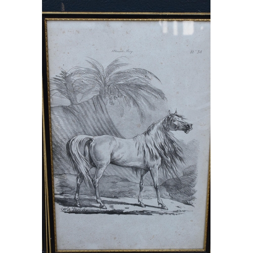 353 - A trio of Carle Vernet black and white lithographs of Arab horses to include Gaude Royal Cheval des ... 