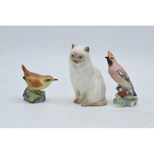 43 - A trio of Royal Worcester animals to include a Long Haired Cat 3615, Wren 3198 and Waxwing 3648 (3).... 