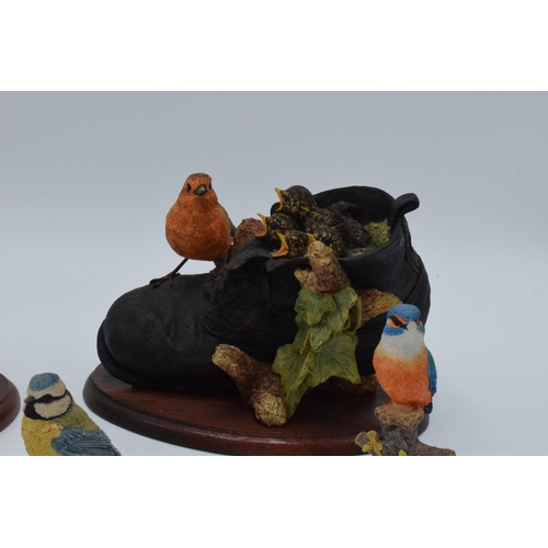 35C - A collection of Border Fine Arts to include Robin with Chicks in boot (slight af), Riverside Jewel (... 