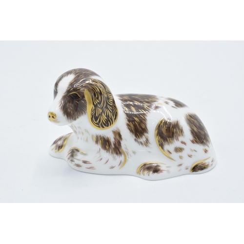 82 - Royal Crown Derby paperweight in the form of Scruff the Puppy . First quality with stopper. In good ... 