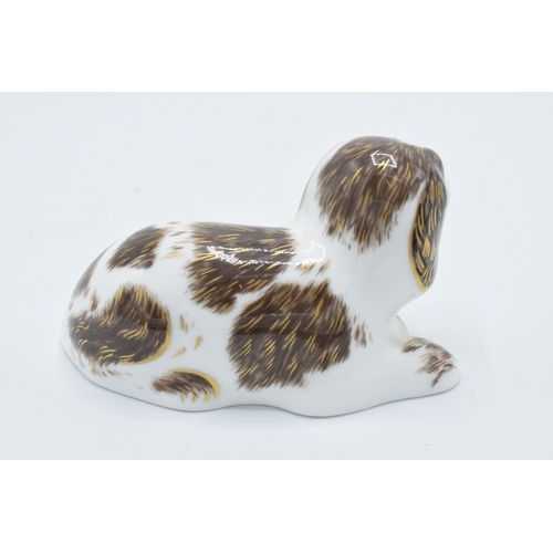 82 - Royal Crown Derby paperweight in the form of Scruff the Puppy . First quality with stopper. In good ... 