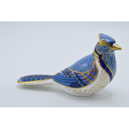 92 - Royal Crown Derby paperweight in the form of a Blue Jay. Second quality with stopper. In good condit... 