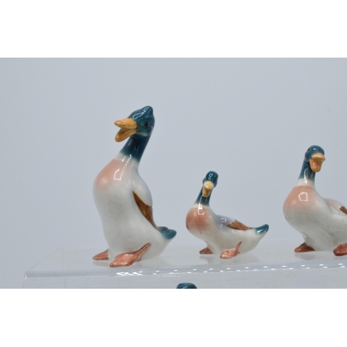 126 - A collection of Beswick birds to include mallards and pheasants with curled tails (8).