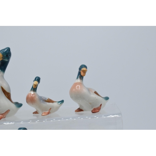 126 - A collection of Beswick birds to include mallards and pheasants with curled tails (8).