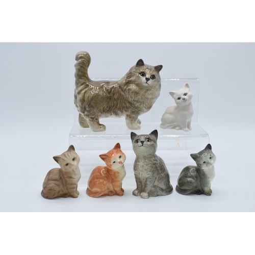 128 - A collection of Beswick cats to include 1886 in grey, Persian cat 1898 in grey and 1436 in various c... 