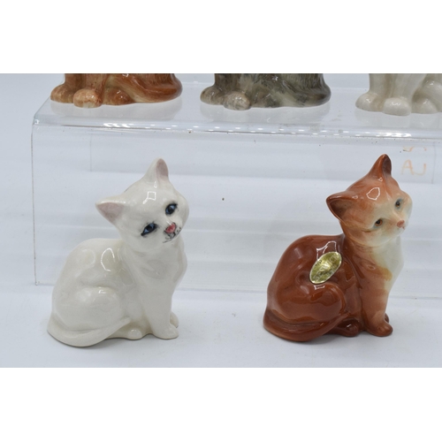 129 - A collection of Beswick cats and kittens to include 1886 in ginger, grey and white together with 143... 