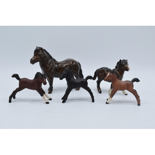 135 - A collection of small Beswick foals and horses to include Shetland pony, another Shetland, matte bla... 