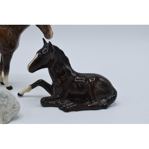 136 - A collection of Beswick horses to include lying foals 915 in grey, brown and palomino colourway toge... 