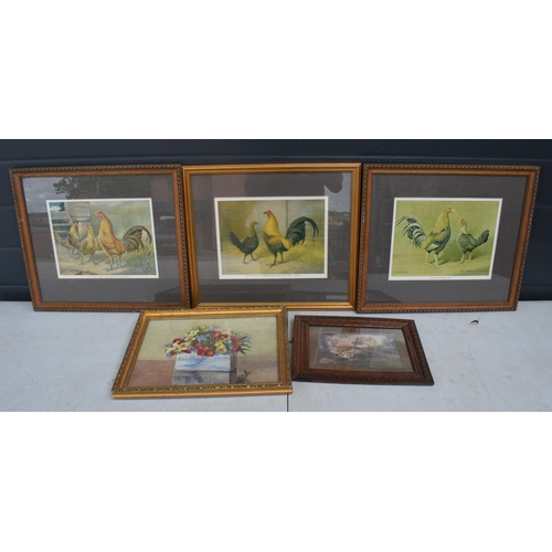 242 - A collection of framed artwork to include examples of cockerels and 2 others (5). 44 x 39cm inc fram... 