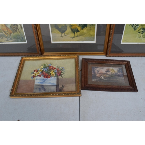 242 - A collection of framed artwork to include examples of cockerels and 2 others (5). 44 x 39cm inc fram... 