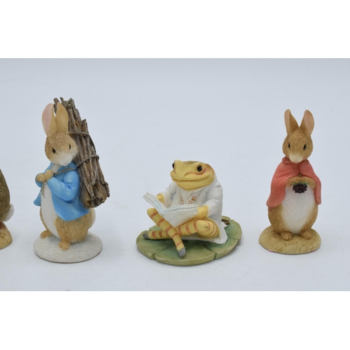 296 - A collection of Border Fine Arts Studio The World of Beatrix Potter figures to include Peter and Cot... 