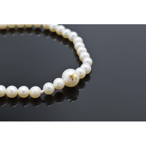 450 - 18ct gold clasp on pearl bracelet, 19.5cm long.