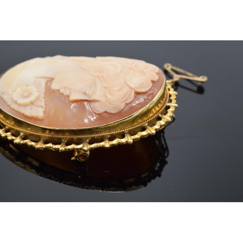 483 - An early 20th century shell cameo of a lady in a 9ct gold frame with gold safety chain. Gross weight... 