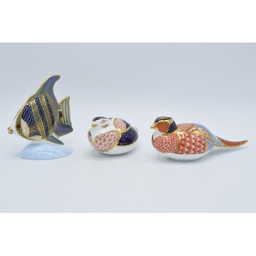 49 - A trio of Royal Crown Derby paperweights to include a pheasant, a bird and an Angel Fish (3). All wi... 