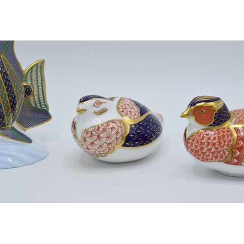 49 - A trio of Royal Crown Derby paperweights to include a pheasant, a bird and an Angel Fish (3). All wi... 