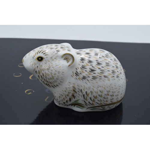 53 - Boxed Royal Crown Derby paperweight Riverbank Vole. First quality with gold stopper.