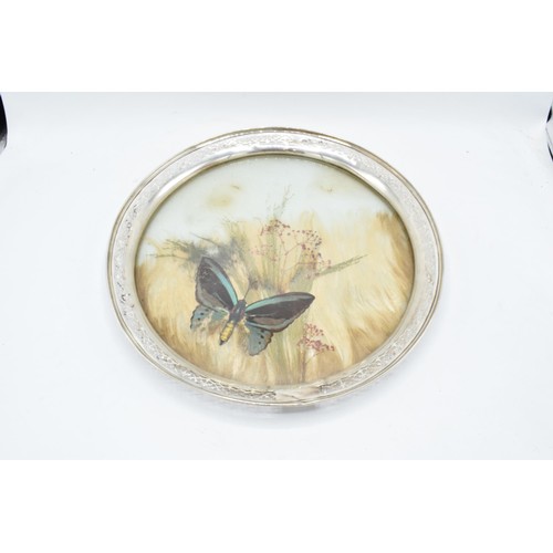 370 - An unusual sterling silver circular tray with pierced edges decorated with dried glass and foliage. ... 