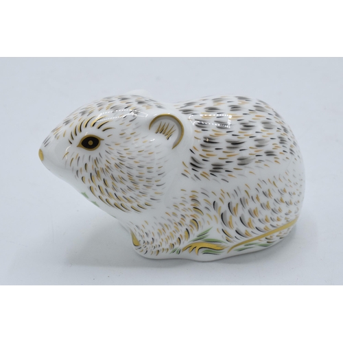 77 - Royal Crown Derby paperweight River Bank Vole, first quality with gold stopper.