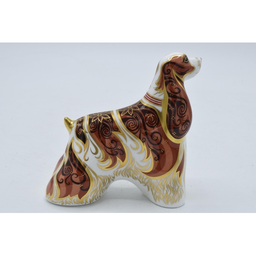 86 - Royal Crown Derby paperweight American Spaniel, first quality with gold stopper.