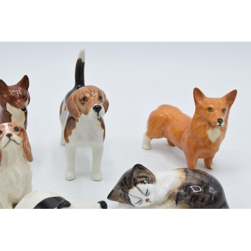 151 - A collection of Beswick animals to include penguin chick, panda, corgi, sitting fox, Royal Doulton c... 