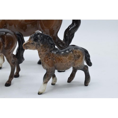 152 - Beswick horses to include brown stocky jogging mare 855, Shetland pony, head up pony and one other (... 