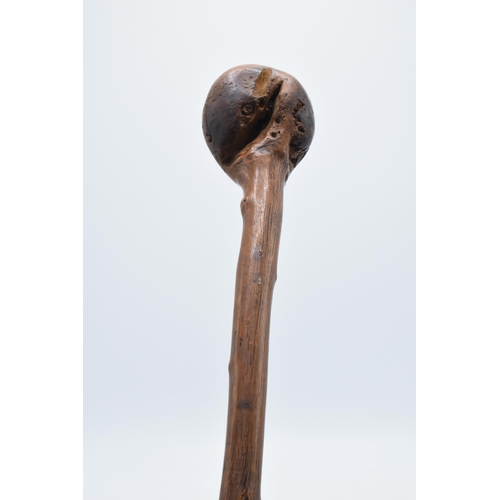 252 - A late 19th century shillelagh / knob stick, 79cm long.