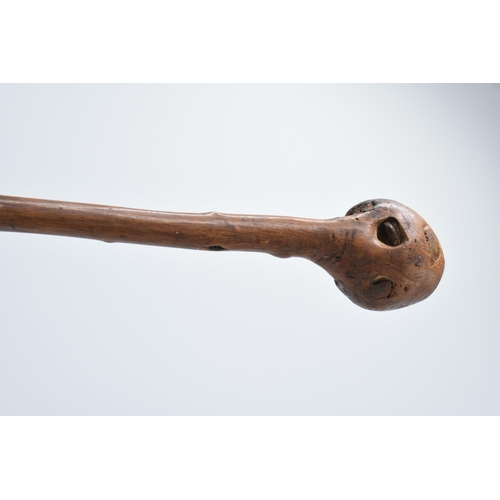 252 - A late 19th century shillelagh / knob stick, 79cm long.