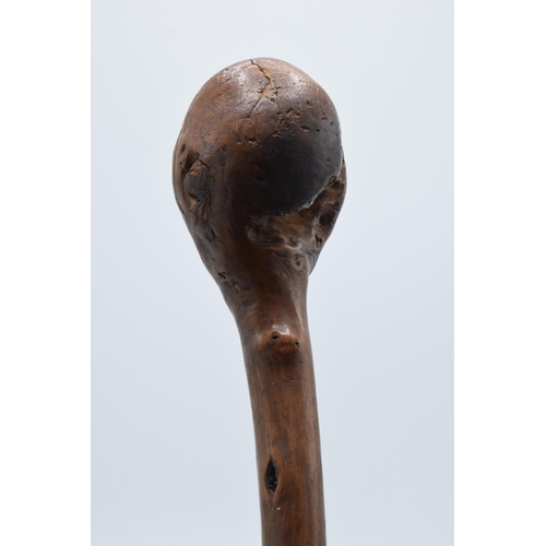 252 - A late 19th century shillelagh / knob stick, 79cm long.