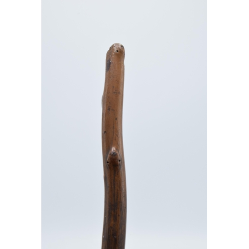 252 - A late 19th century shillelagh / knob stick, 79cm long.