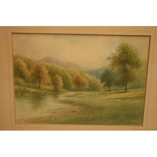 274 - Local Interest: a pair of framed watercolours by E J B Evans of Spring Valley Trentham together with... 