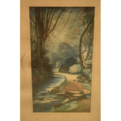 274 - Local Interest: a pair of framed watercolours by E J B Evans of Spring Valley Trentham together with... 