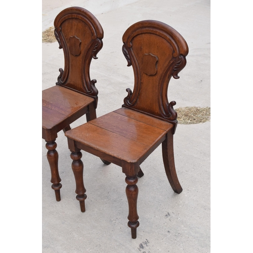 375 - A pair of Victorian oak carved shaped back hall chairs with raised shell motif (2), 86cm tall.