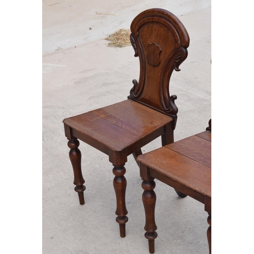 375 - A pair of Victorian oak carved shaped back hall chairs with raised shell motif (2), 86cm tall.