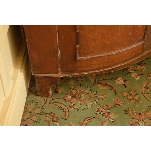 399 - 19th century freestanding double corner cupboard